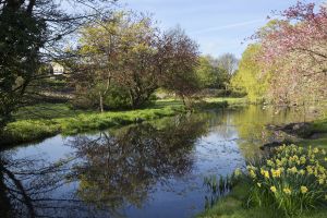 Crakehall bedale gorgeous 3.jpg